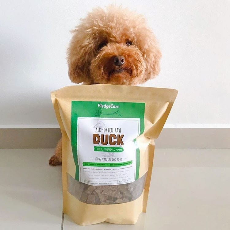 Duck Recipe for Dogs - Image 3