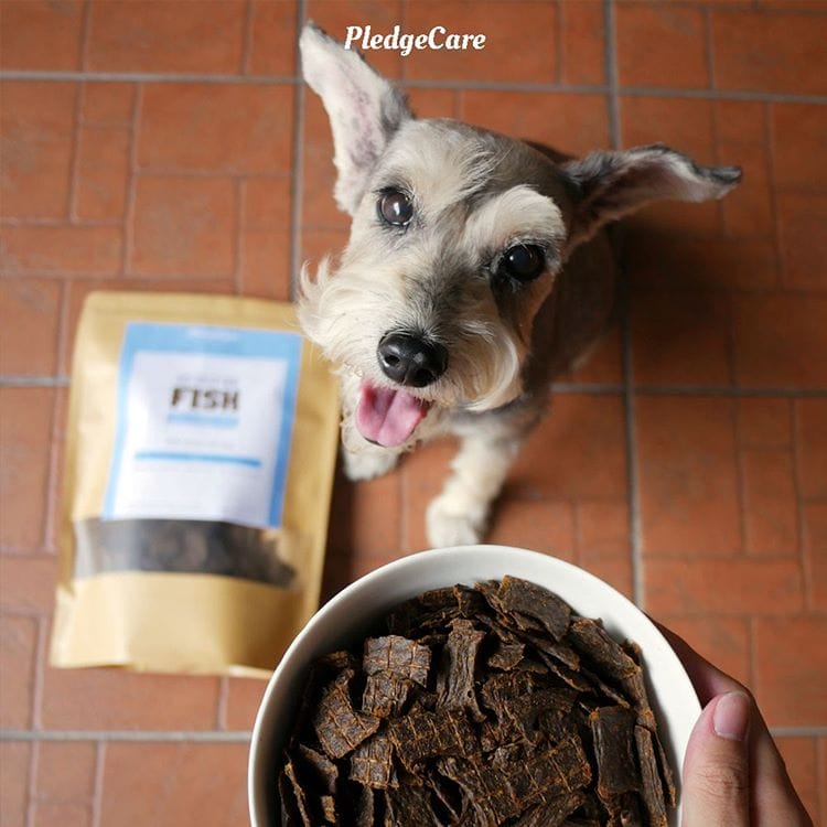 dog with fish recipe