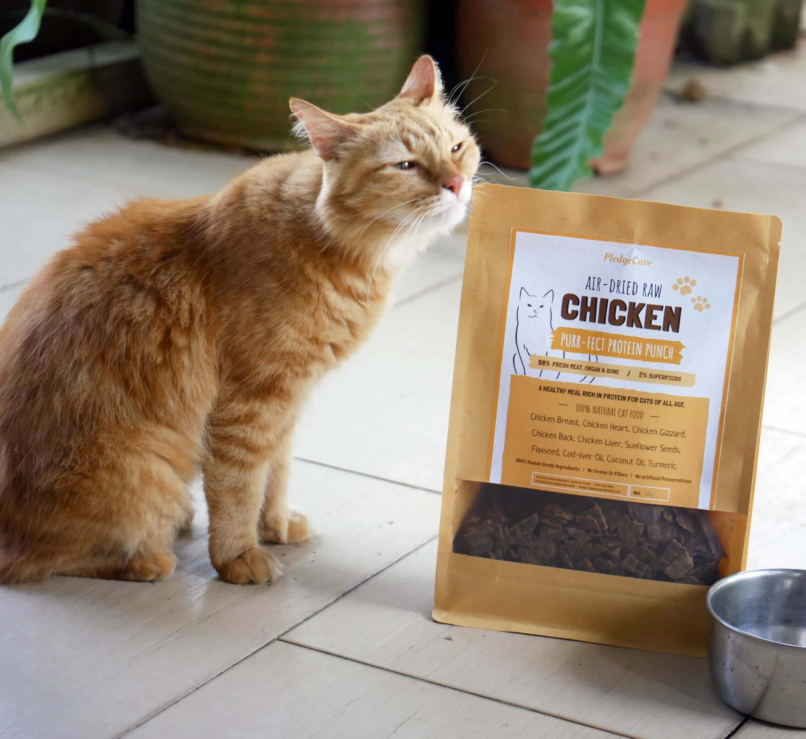 Chicken Recipe for Cats - Image 3