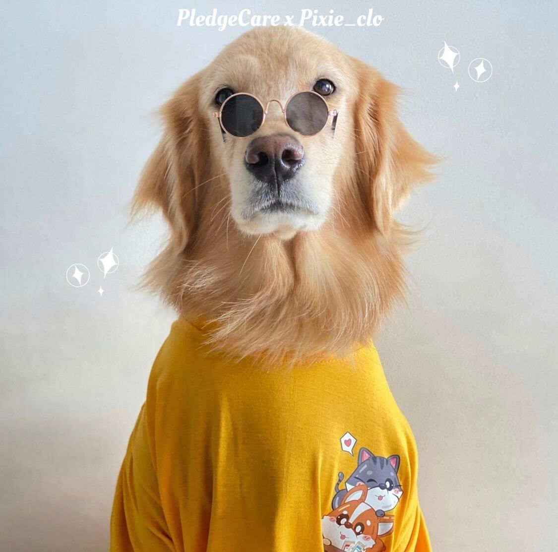 Pixieclo Shirt - Image 2
