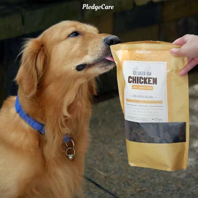 Chicken Recipe for Dogs - Image 3
