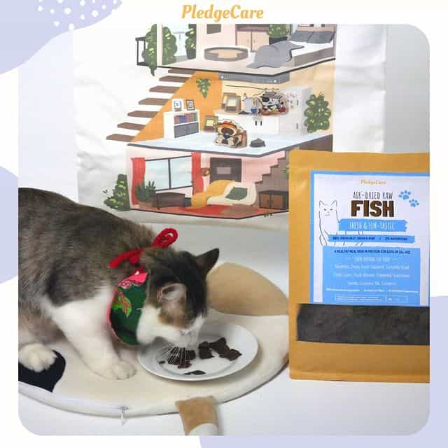 Fish Recipe for Cats - Image 2