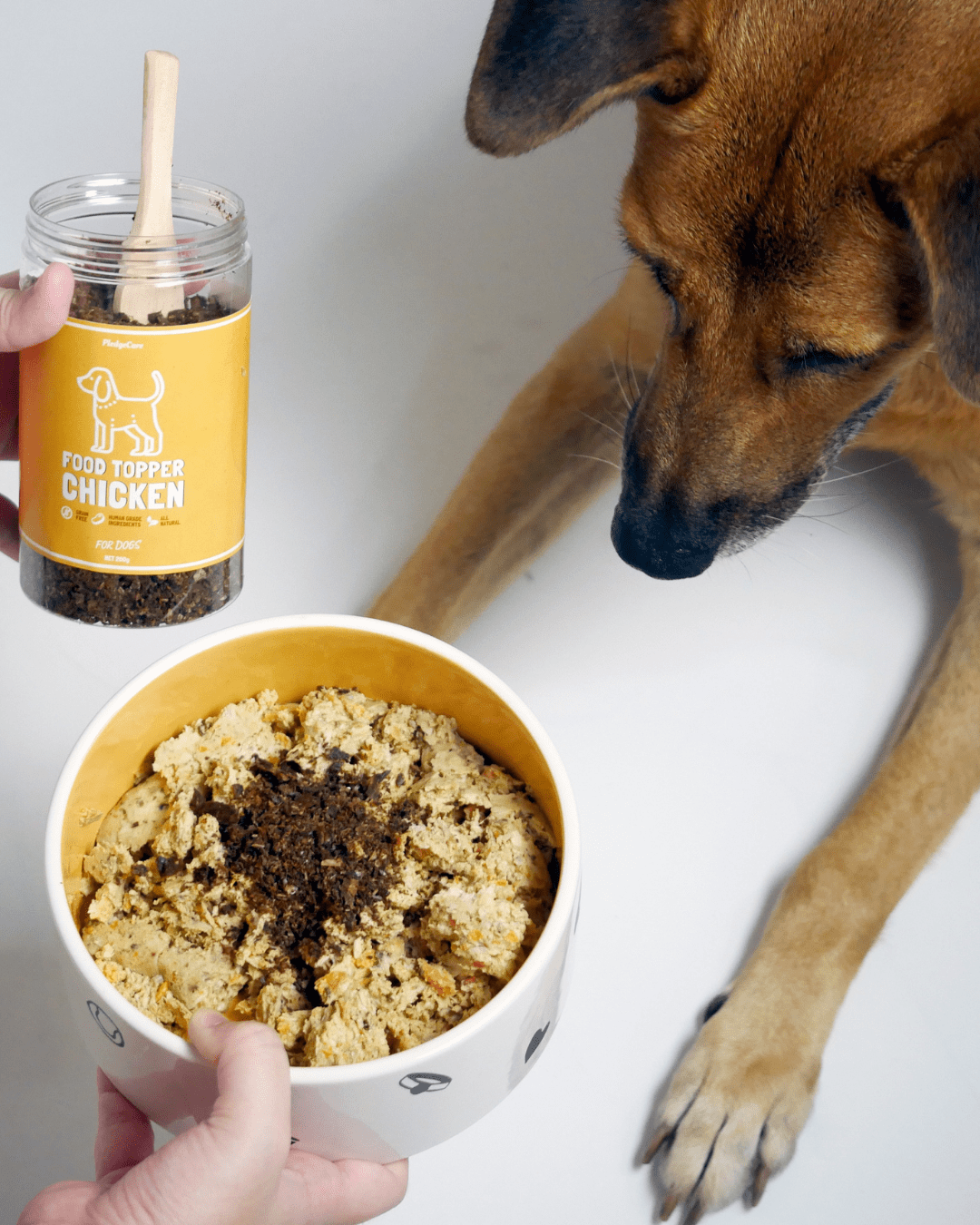 Fresh Chicken Recipe for Dogs - Image 7