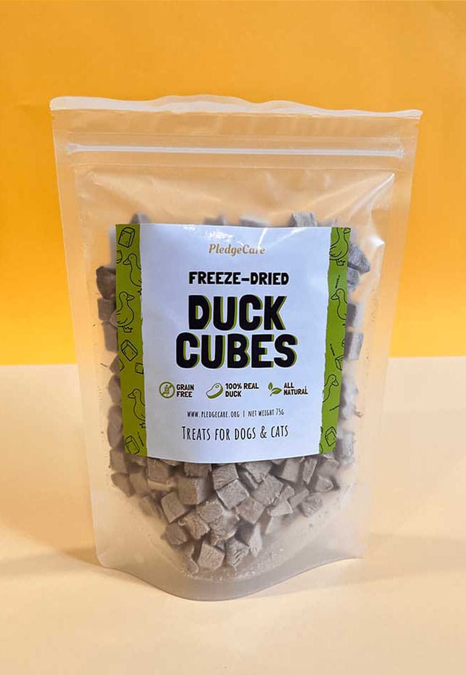 Duck Cubes
