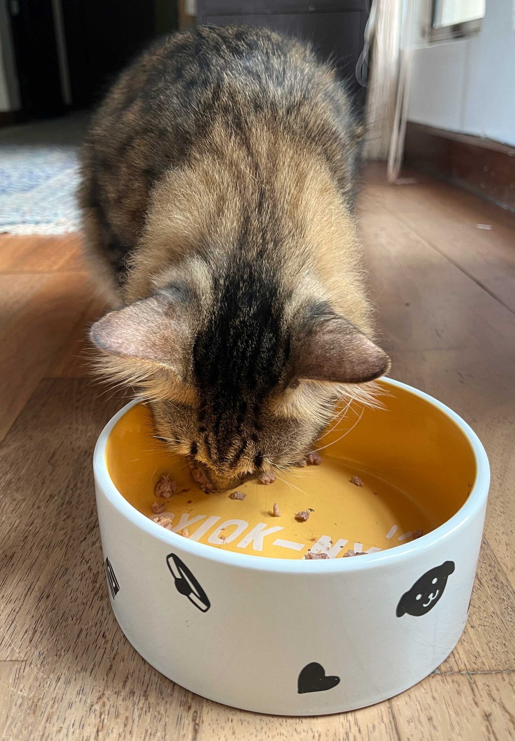 Fresh Chicken Recipe for Cats - Image 7