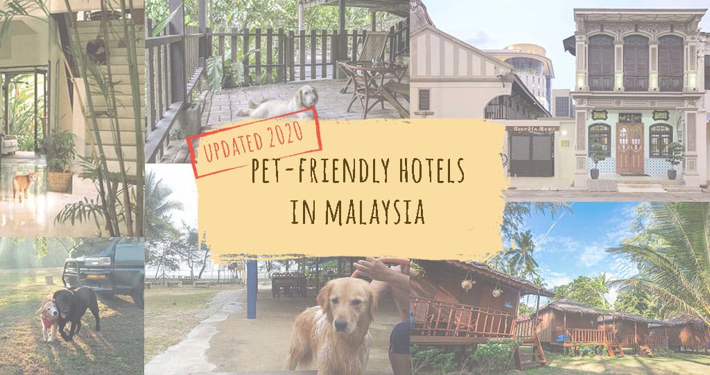 cover of pet-friendly hotels in Malaysia