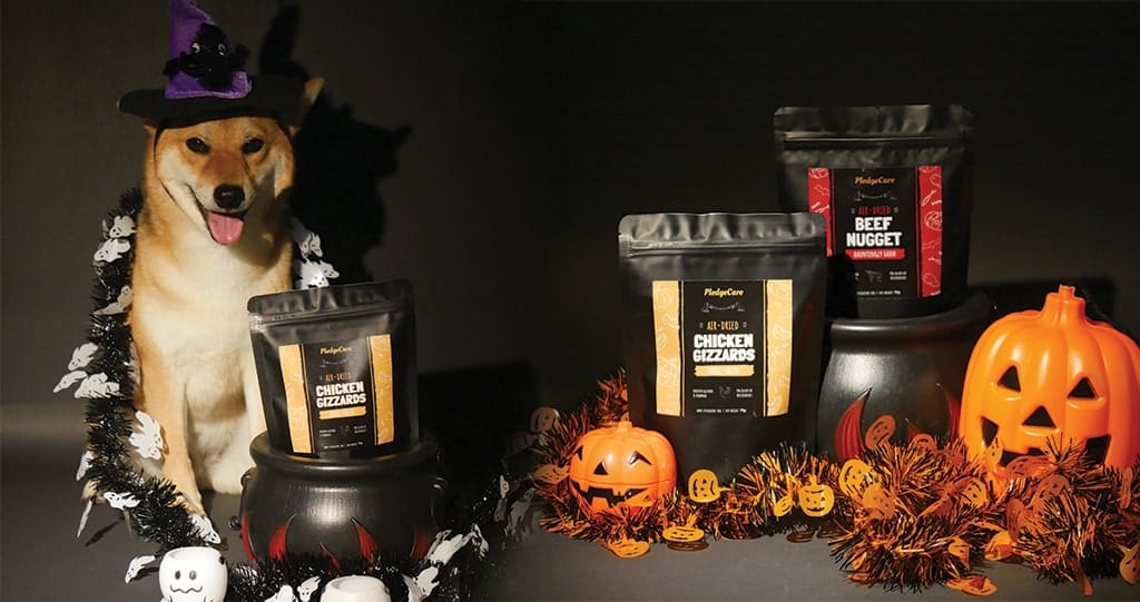 healthy pumpkin treats for dogs