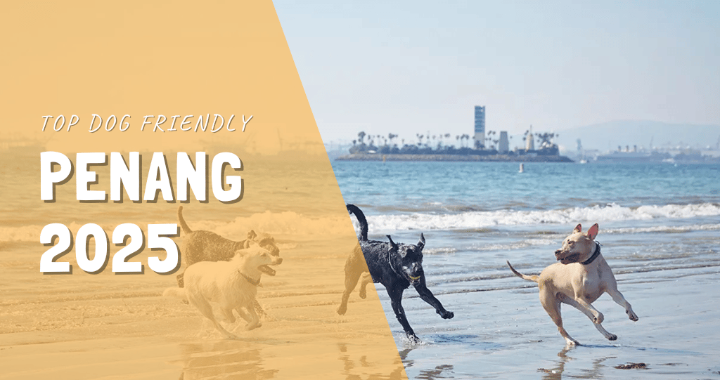 dog friendly place penang