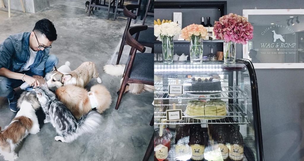 Pet Cafe Penang
