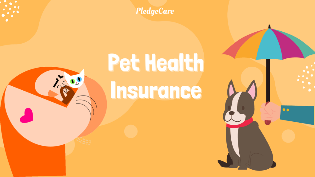 Orange graphic banner with the title "Pet Health Insurance" with a cartoon image of a big muscular guy hugging a cat and another person holding and umbrella for the dog