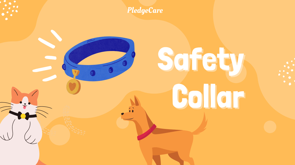 Safety Collars for your pets is a must need.