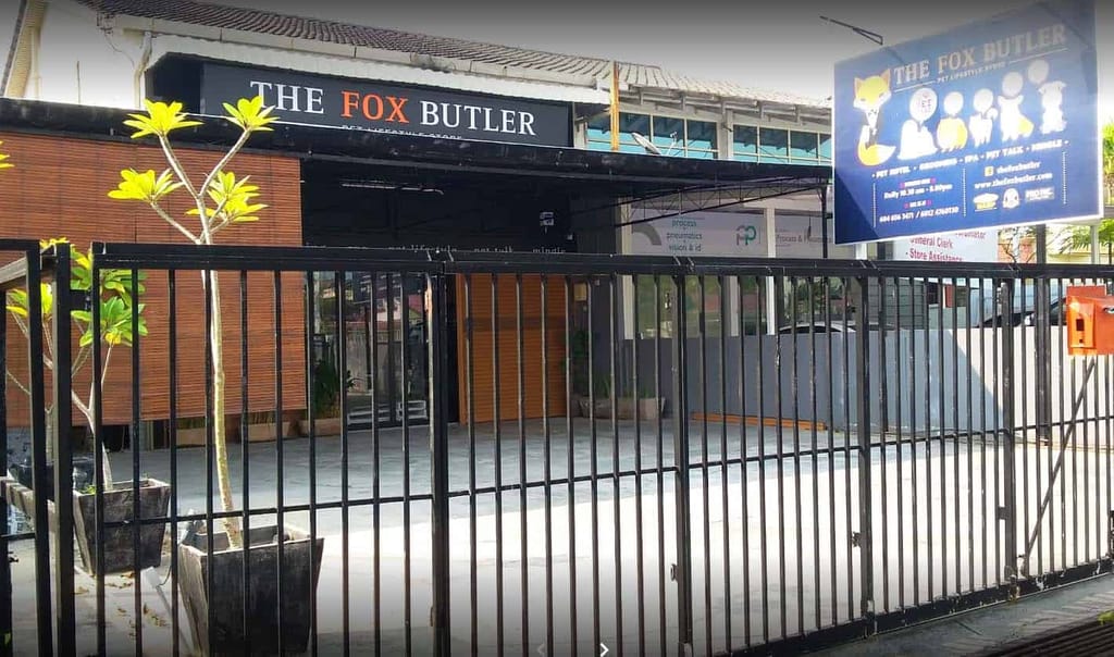 the fox butler penang dog friendly places