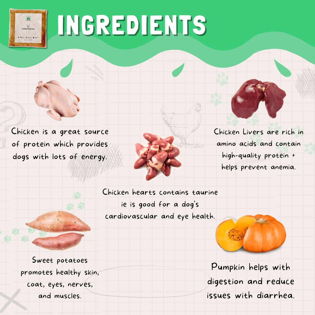Fresh Chicken Recipe for Dogs - Image 4
