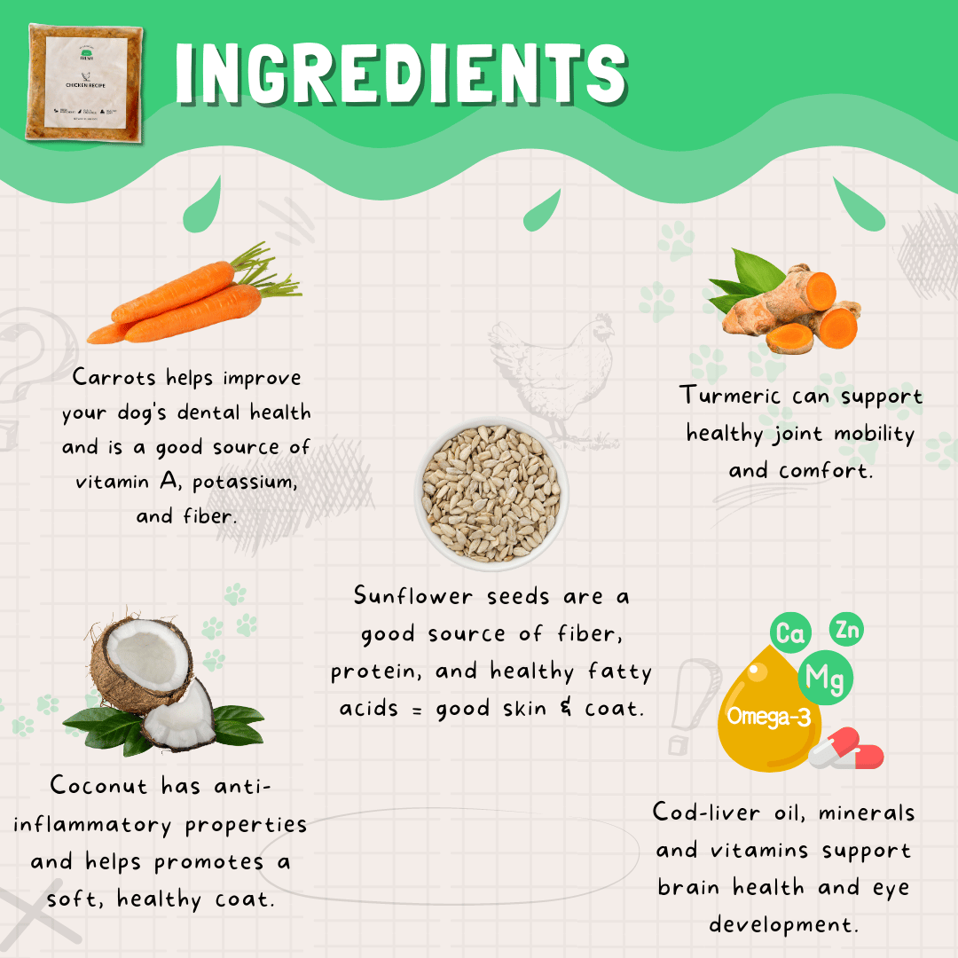 Fresh Chicken Recipe for Dogs - Image 5