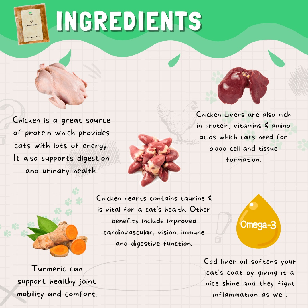 Fresh Chicken Recipe for Cats - Image 3
