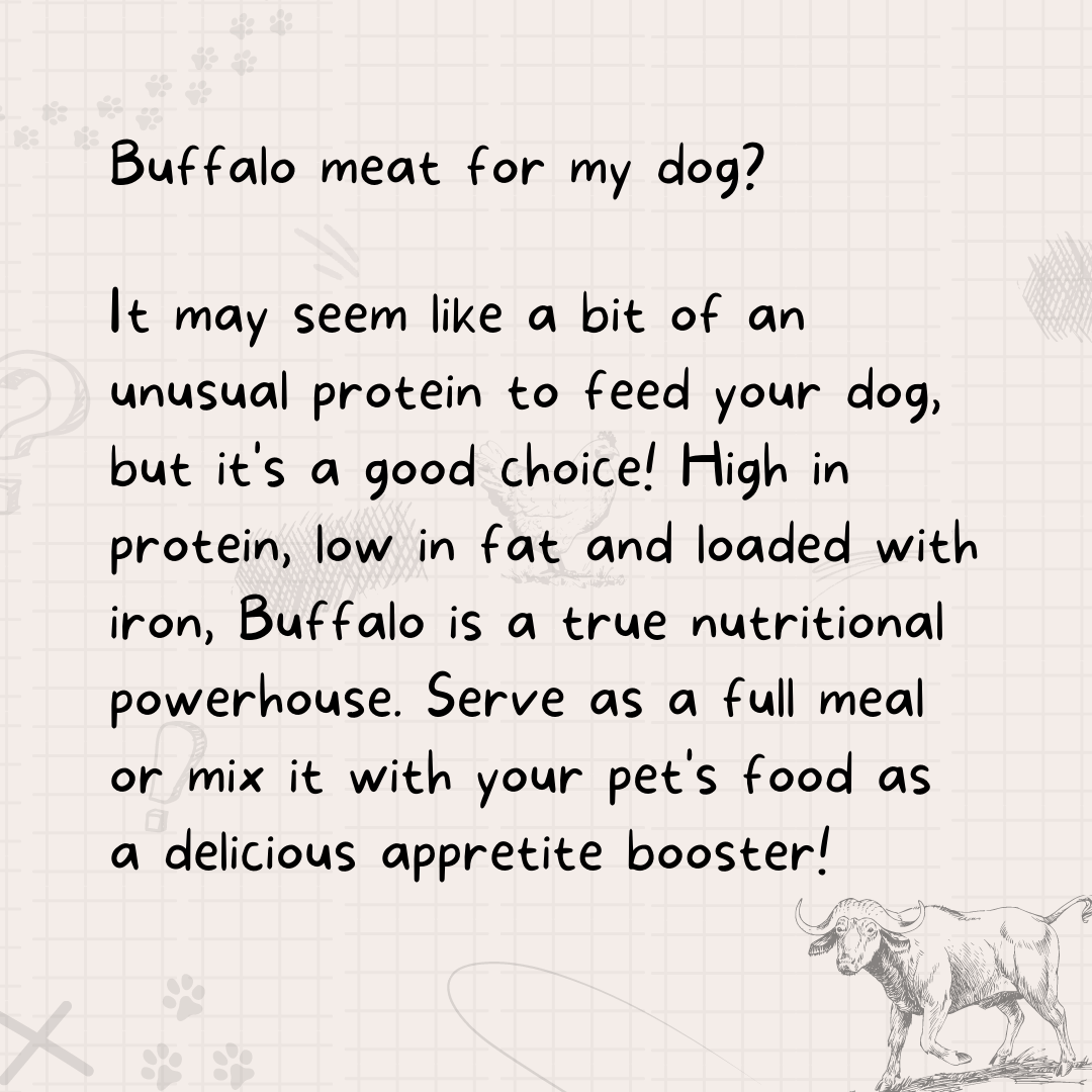 Fresh Buffalo Recipe for Dogs - Image 3