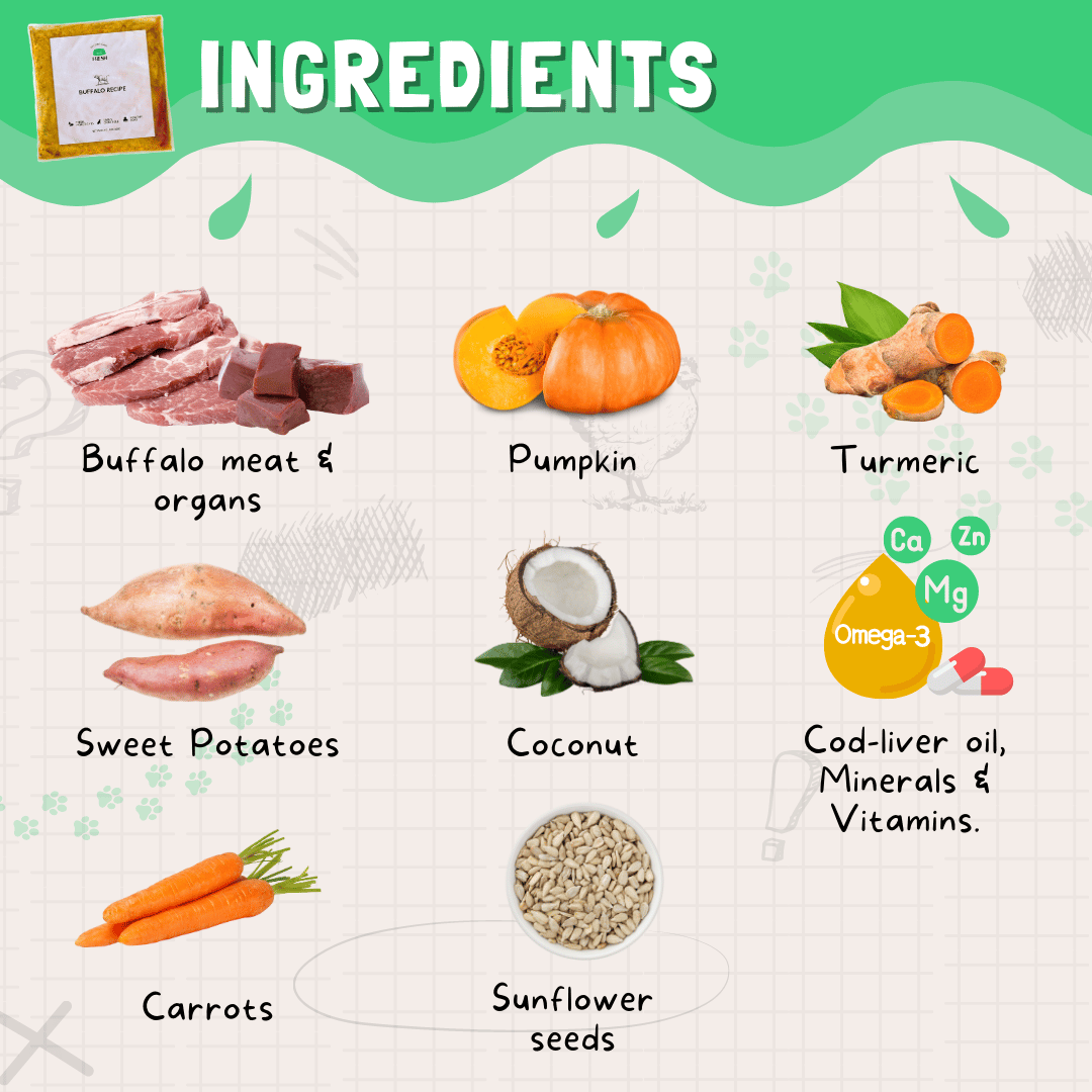 Fresh Buffalo Recipe for Dogs - Image 4