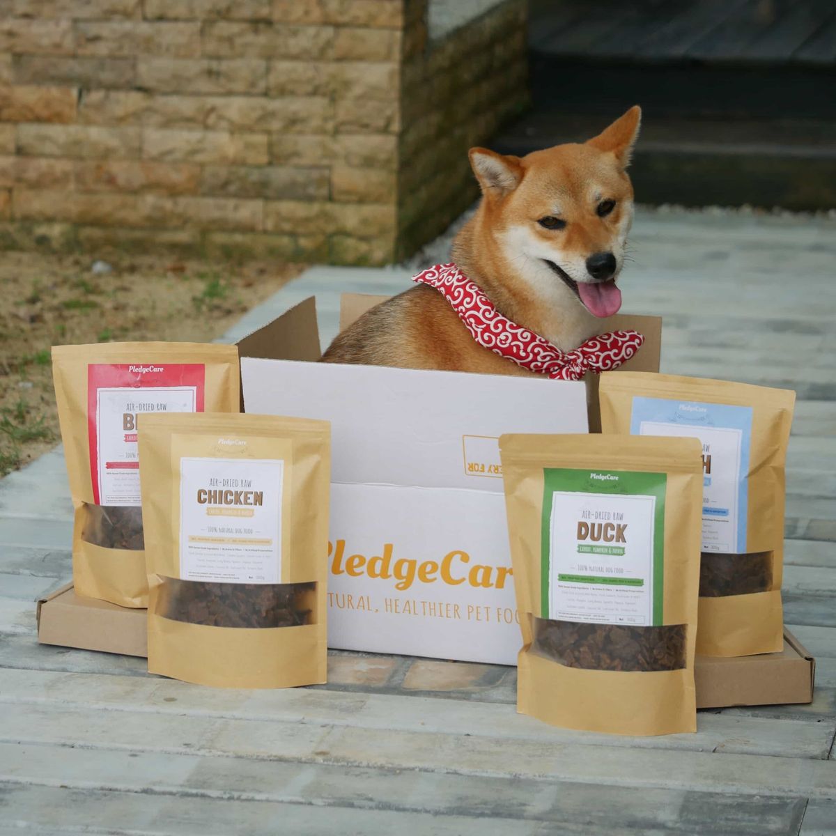 The Pawfect Starter - Image 2