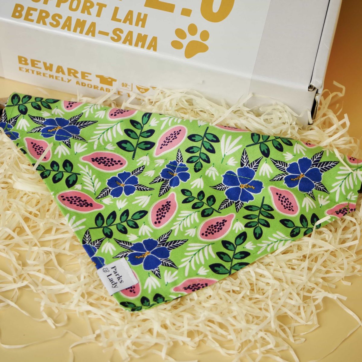 Parks&Lady Bandana
