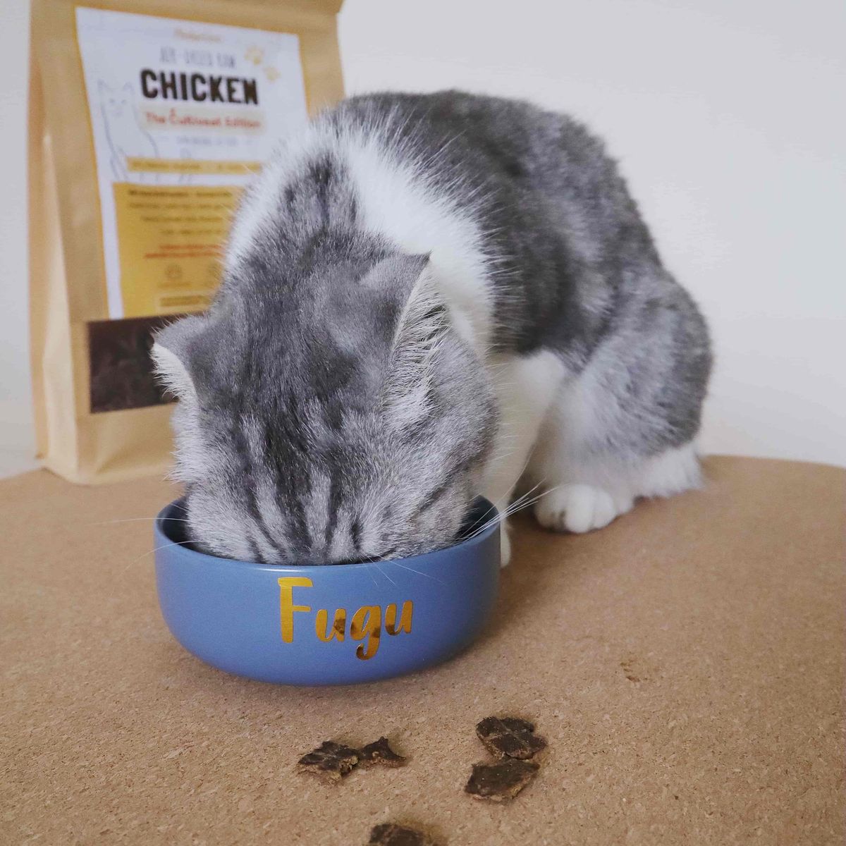 premium cat food