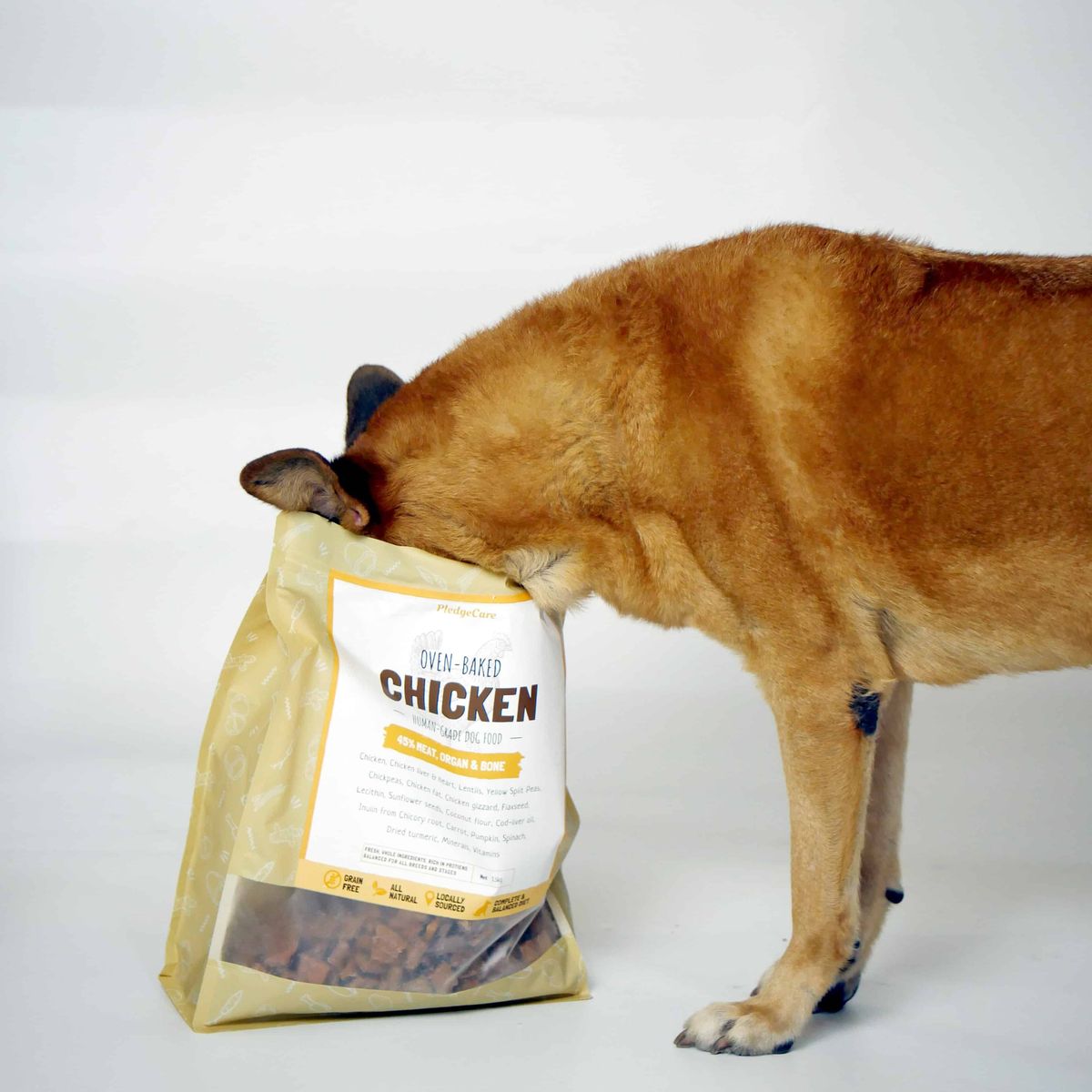 premium dog food