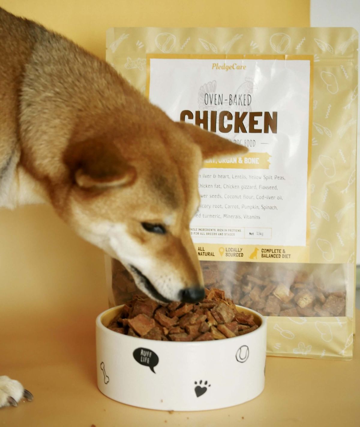 Oven-Baked Chicken Recipe for Dogs (Medium/Large Breeds) - Image 3