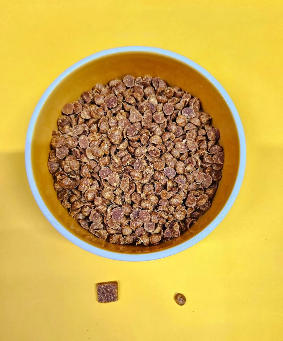 small dogs food