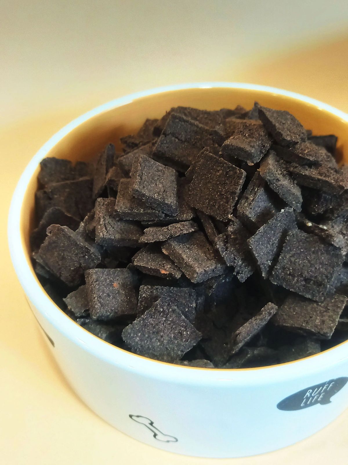 dog food with insect