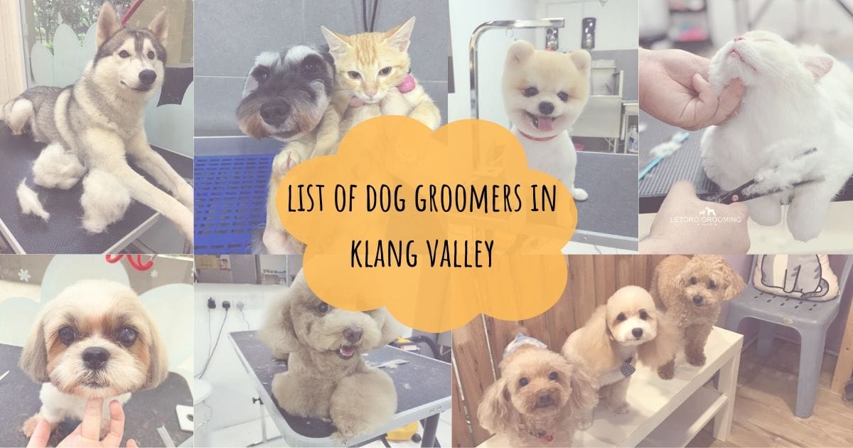 Dog Groomers in Klang Valley