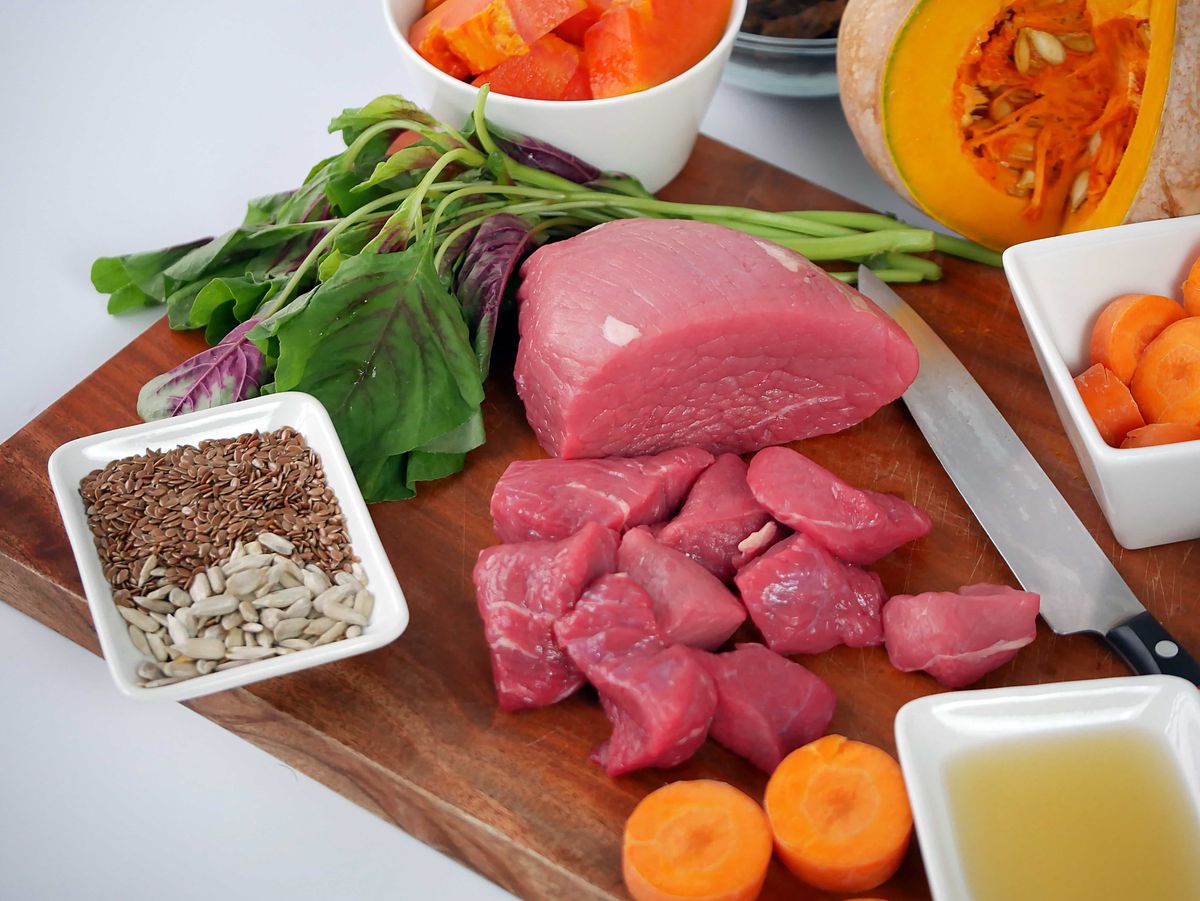 Beef Recipe for Dogs - Image 3