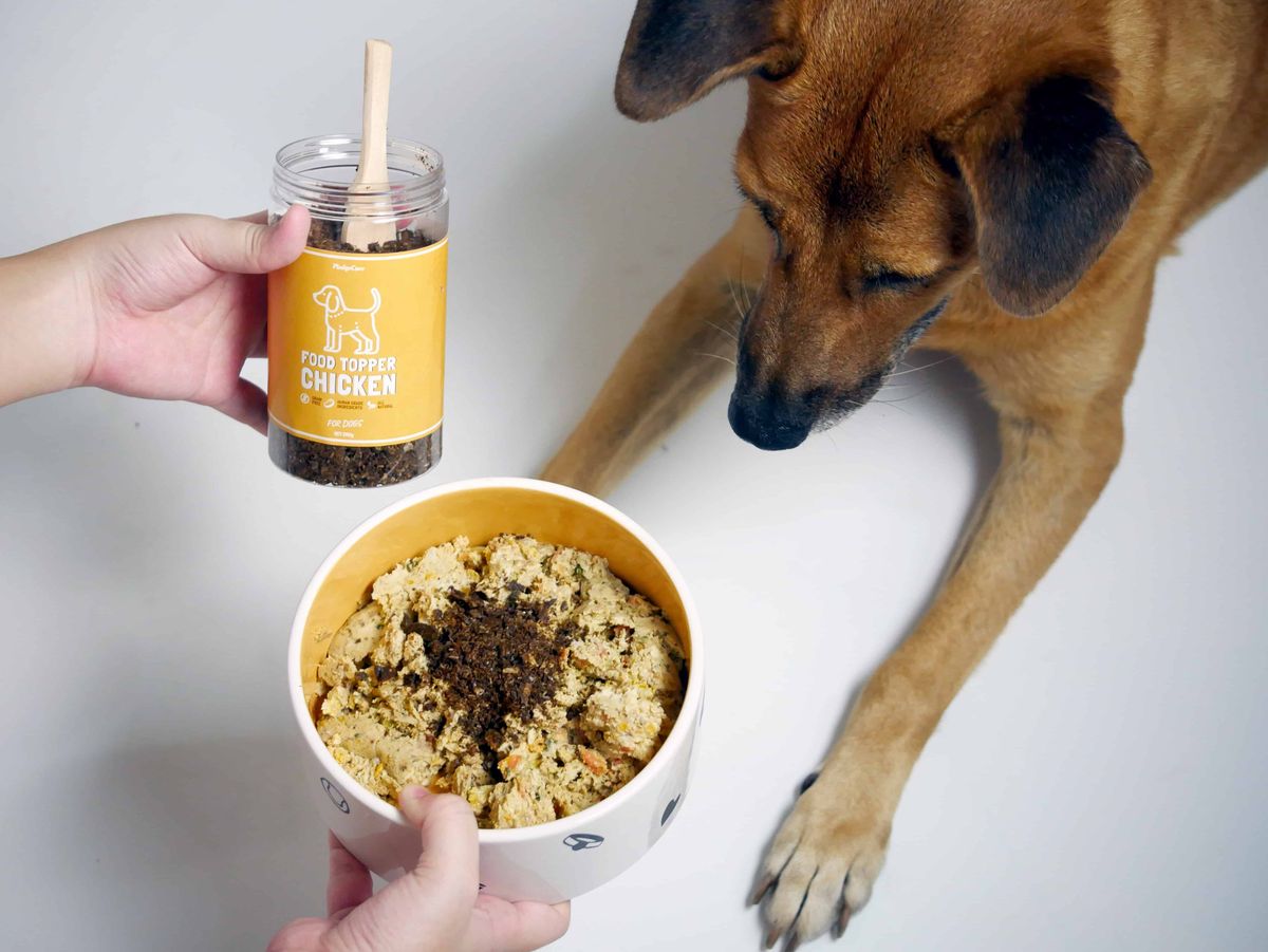 Air-Dried Food Topper for Dogs - Image 2