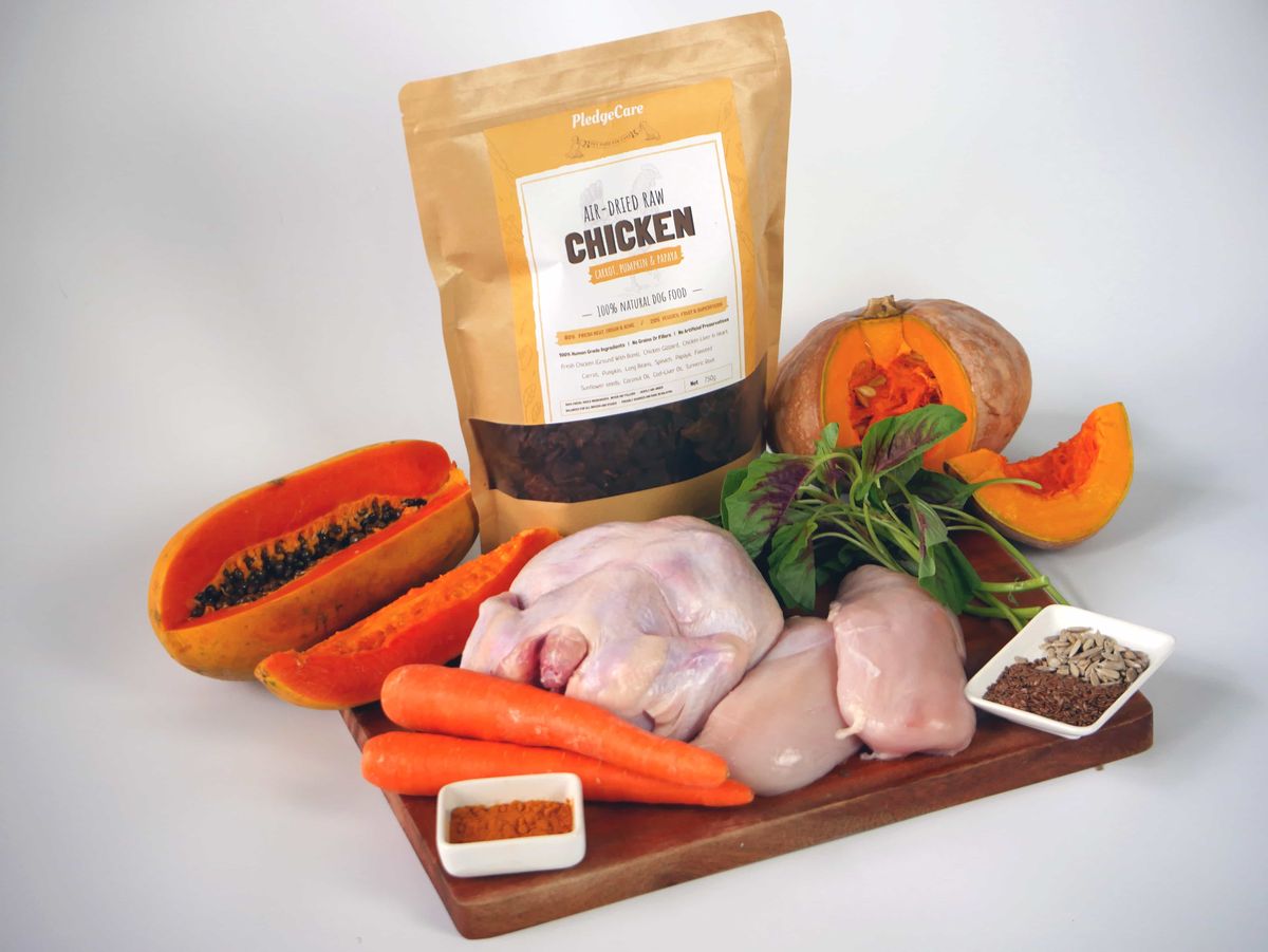 Chicken Recipe for Dogs - Image 2