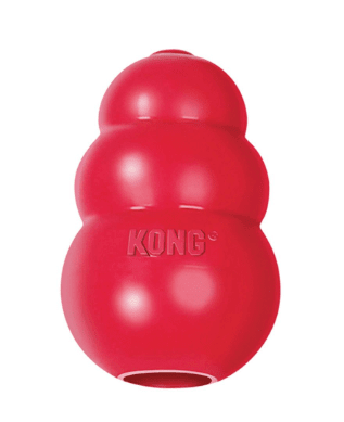 a kong type toy on display