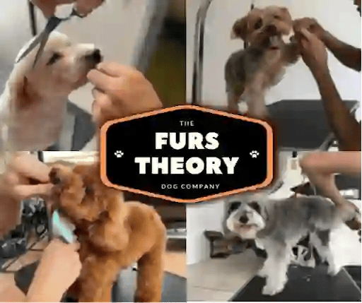 Furs Theory Mobile Grooming