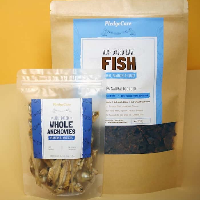 Fin-tastic Dog Bundle