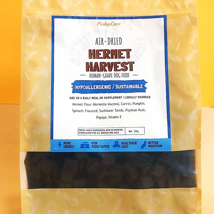 dog food with insects