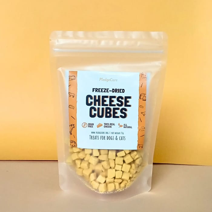 freeze dried dog treat