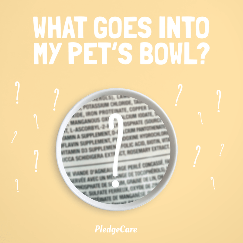 What goes into your pet food
