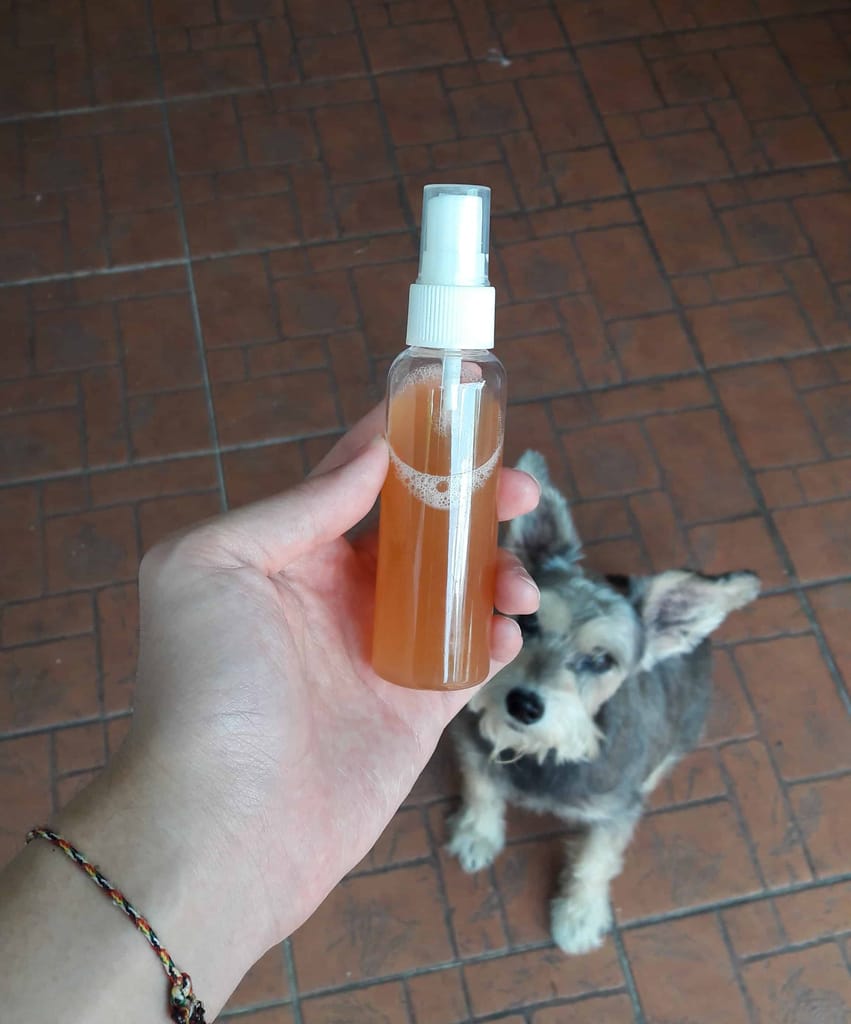 coating items with apple cider vinegar helps prevent dogs from chewing it