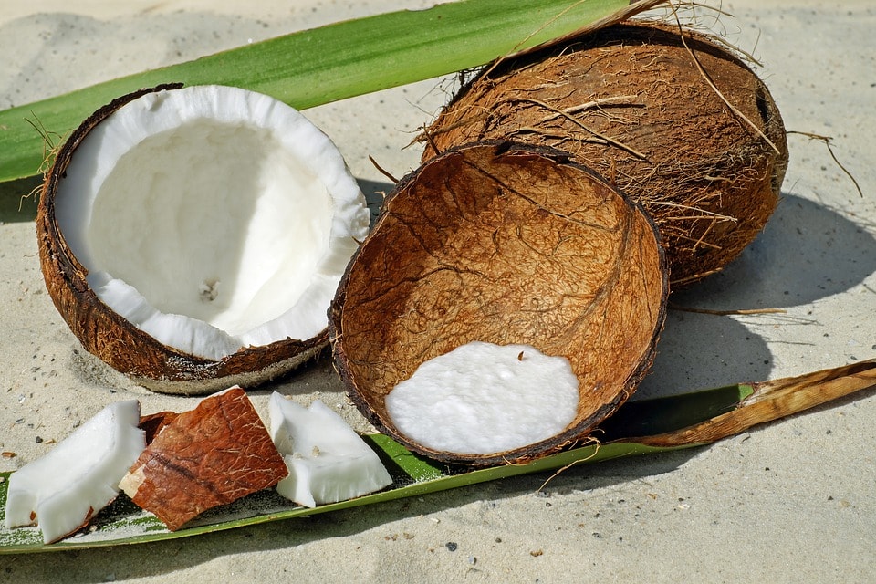 Cut opened coconuts