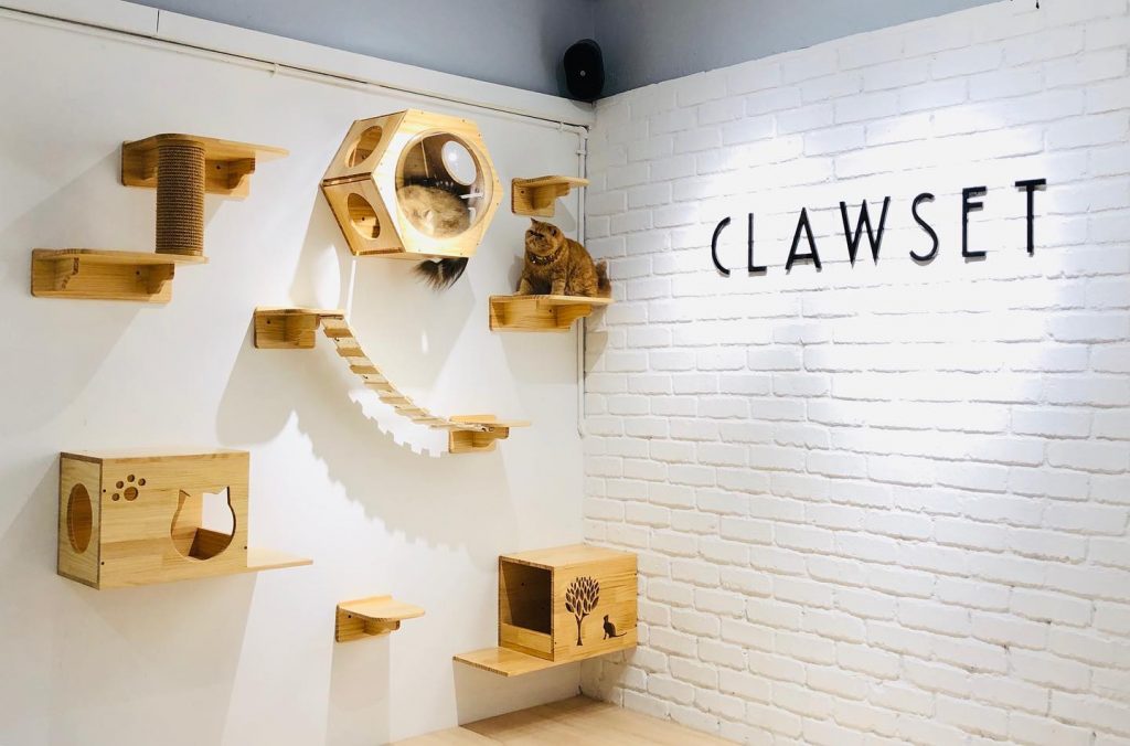 Clawset Cafe for cats and dogs