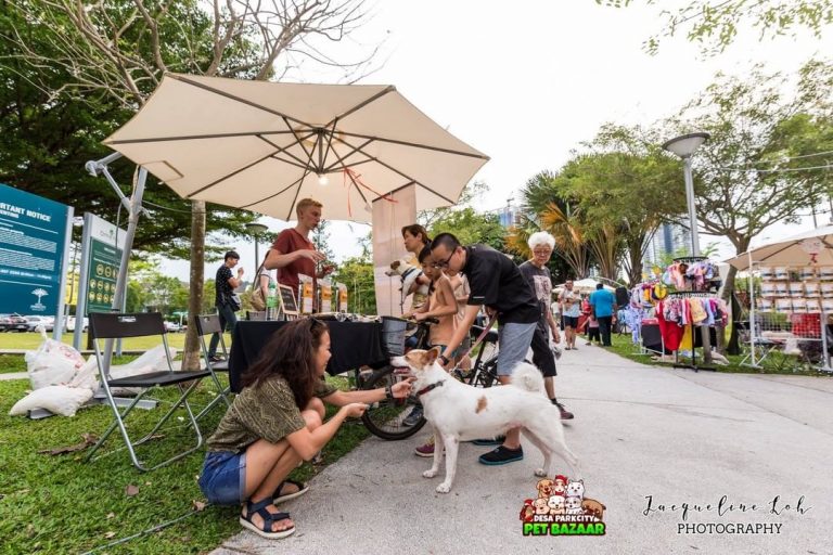 Pet-Friendly Hotels in Malaysia: A Road Trip With Fido | PledgeCare