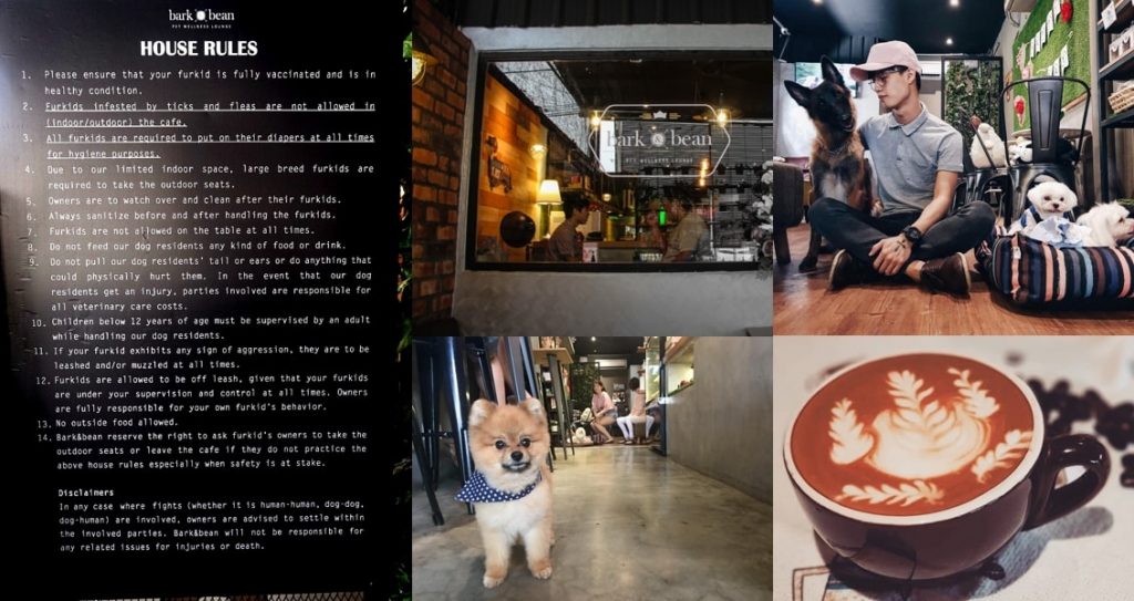 Dog-friendly places in penang