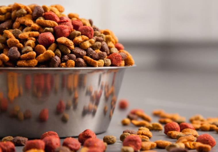 Multi-colour pet food kibbles in a bowl