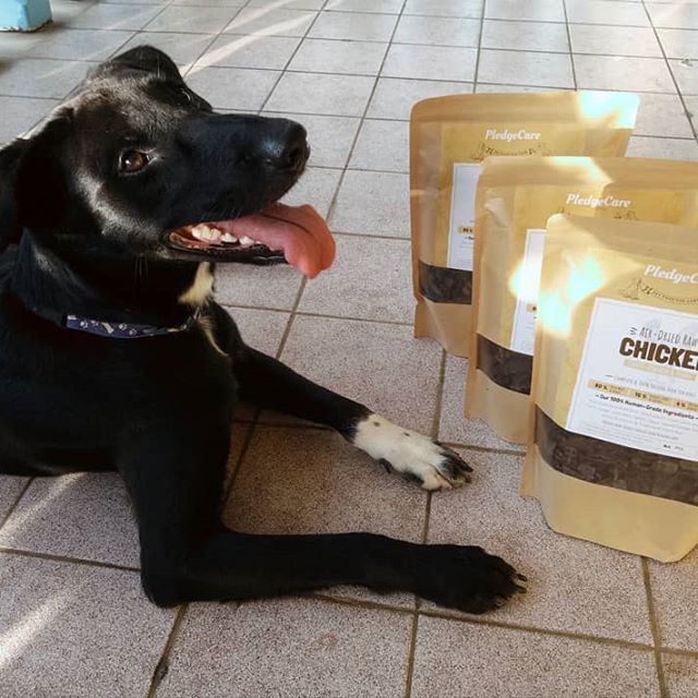 a dog looking happy and sitting by a few bags of PledgeCare's air dried recipe