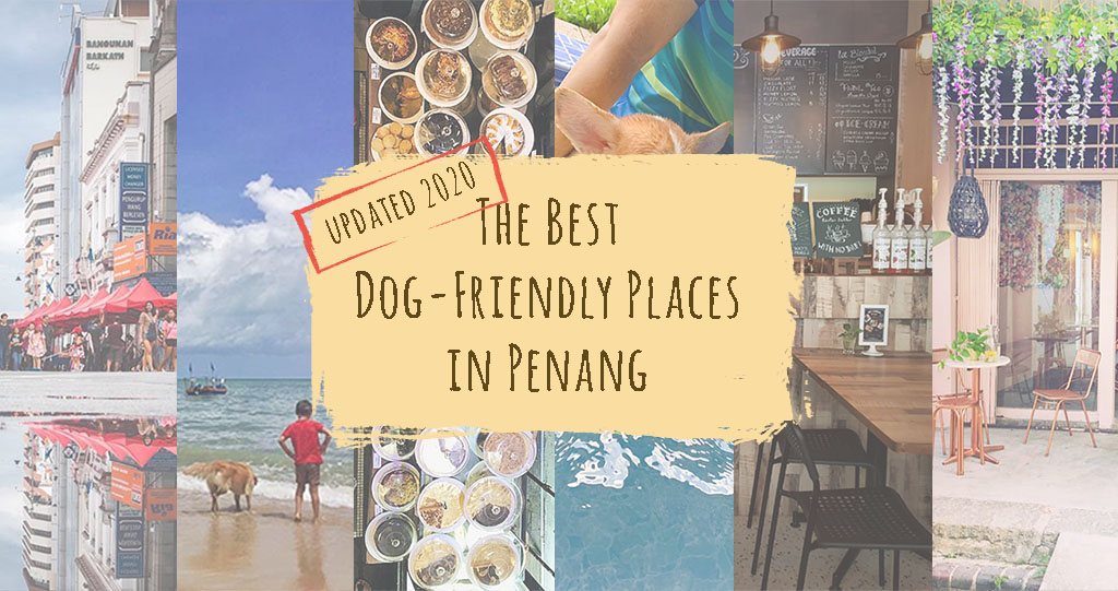 the best dog friendly places in Penang