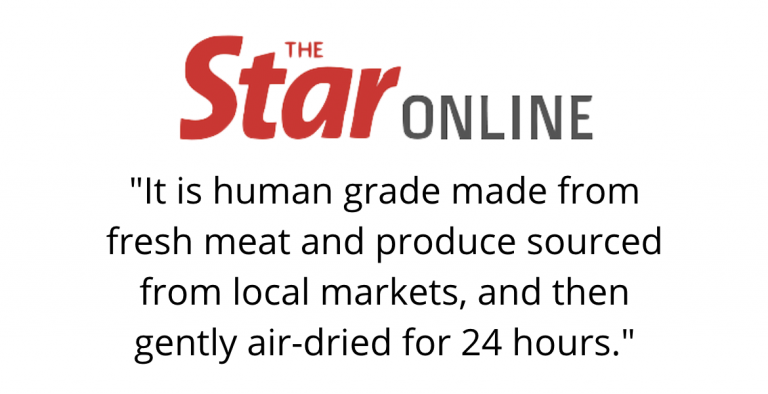 Healthy dog food review