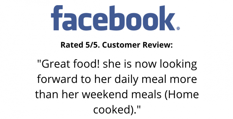 Homemade dog food