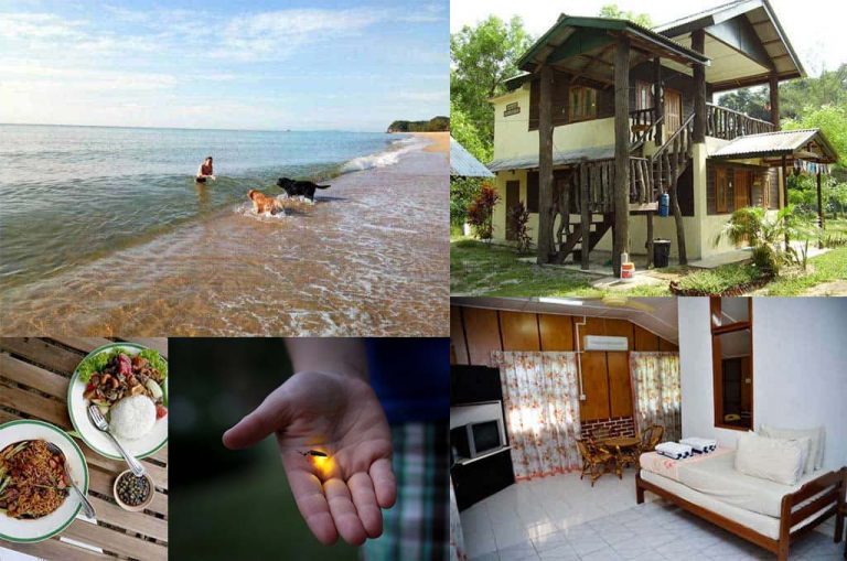 PetFriendly Hotels in Malaysia A Road Trip With Fido PledgeCare