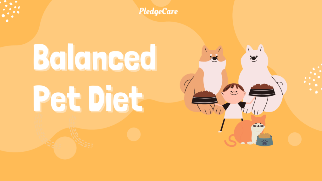 Balanced Pet Diet is important to ensure pet's health